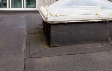 disadvantages of Parc Seymour flat roofs