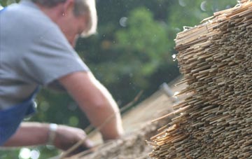 professional Parc Seymour thatchers