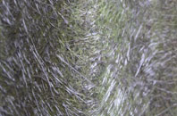 Parc Seymour fibreglass roof work